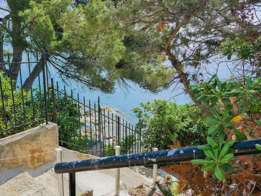 Maisonnette Avec Vue Sur La Mer Exceptionnelle Carqueiranne Exteriér fotografie